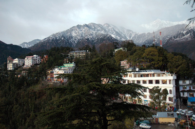 LEATHER-TUNA-Dharamsala2.jpg