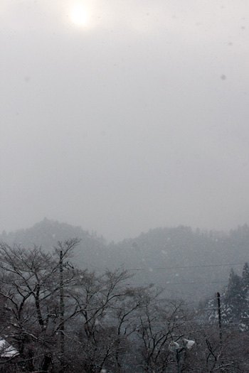 LEATHER-TUNA-Winter scene.jpg